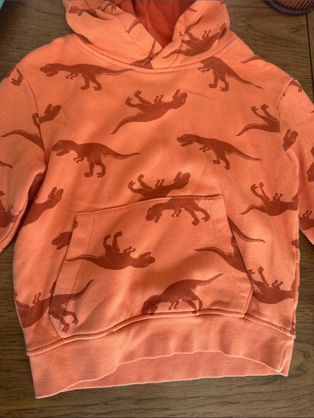 H&M Kids Dinosaur Hoodies - Teal & Coral Orange